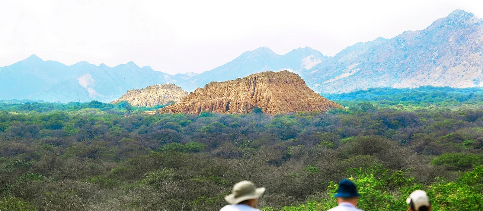 ¡Promociona tu negocio en Y Tú Qué Planes!