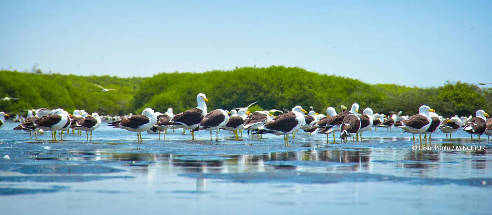 ¡Promociona tu negocio en Y Tú Qué Planes!