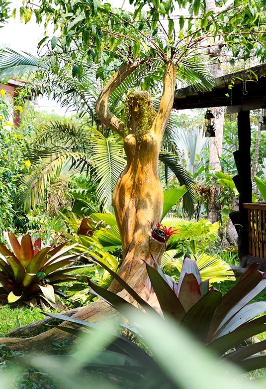 Jardín Botánico Amazonia 