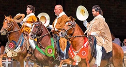  Concurso Nacional Oficial del Caballo Peruano de Paso