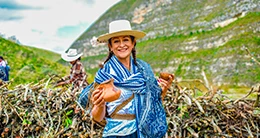 Yamta Pallay: Junta de leña y II Campaña de reforestación: “Sembrando vida”