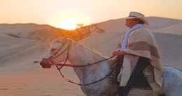 Día Nacional del Caballo de Paso Peruano en Ica