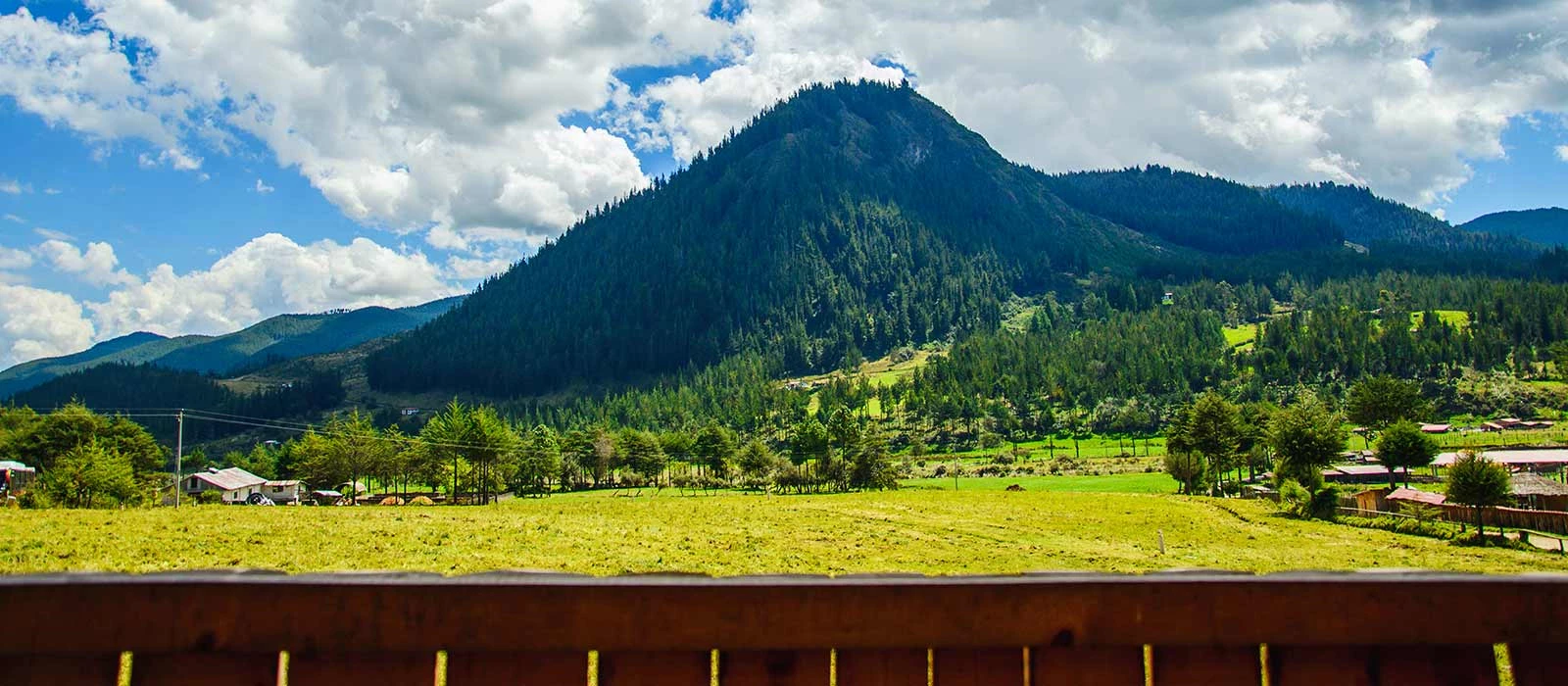 ¡Promociona tu negocio en Y Tú Qué Planes!