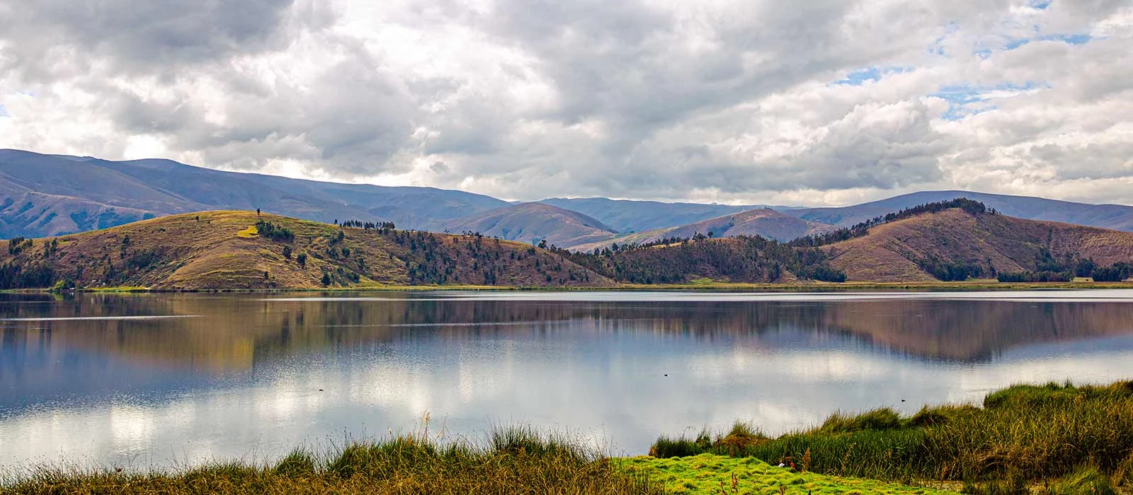¡Promociona tu negocio en Y Tú Qué Planes!