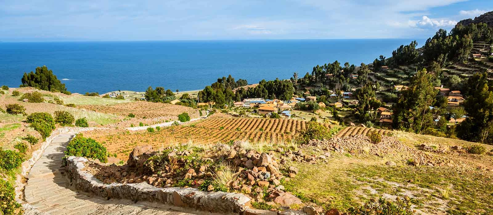 ¡Promociona tu negocio en Y Tú Qué Planes!