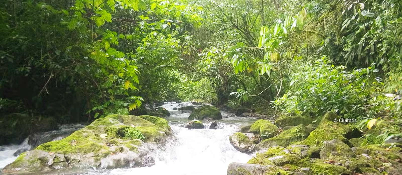 ¡Promociona tu negocio en Y Tú Qué Planes!