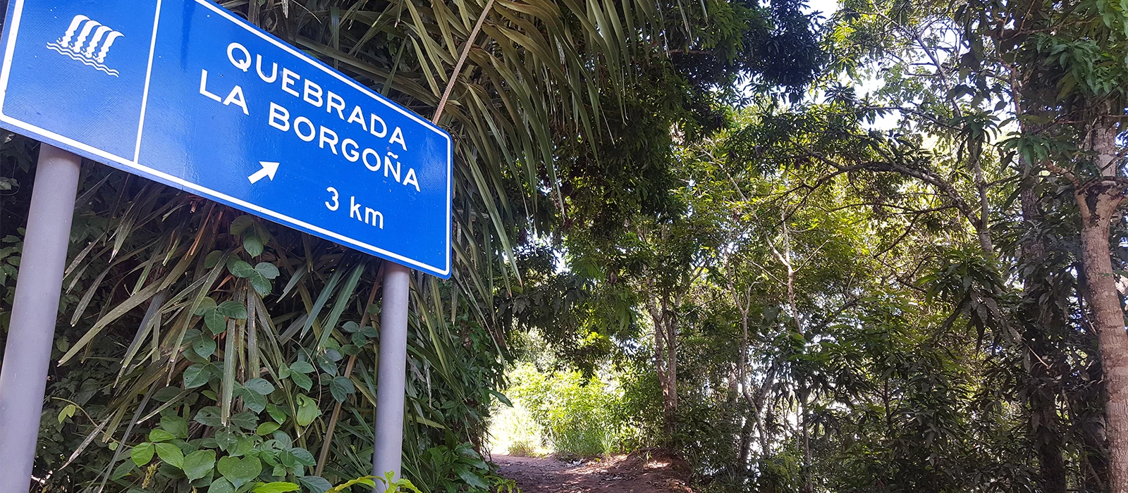 ¡Promociona tu negocio en Y Tú Qué Planes!