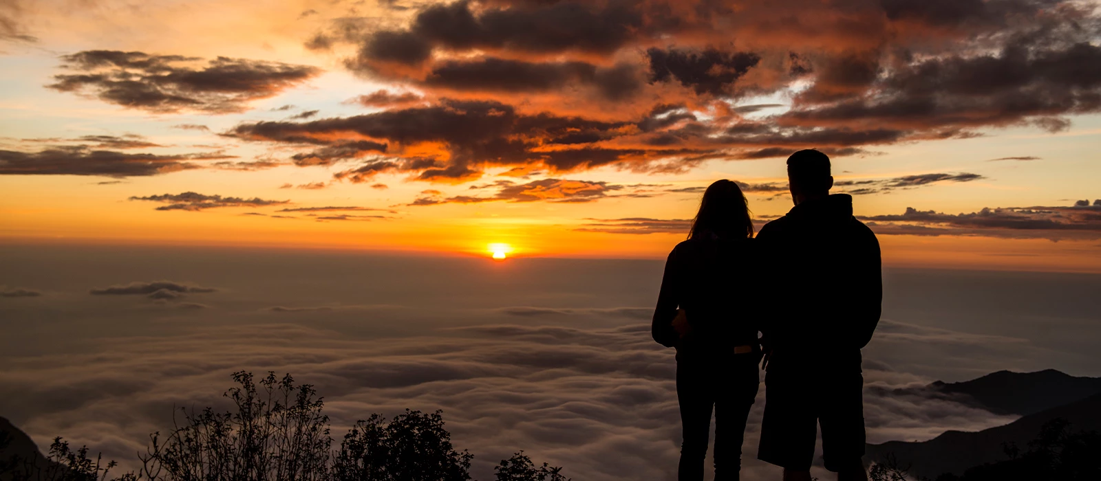 ¡Promociona tu negocio en Y Tú Qué Planes!