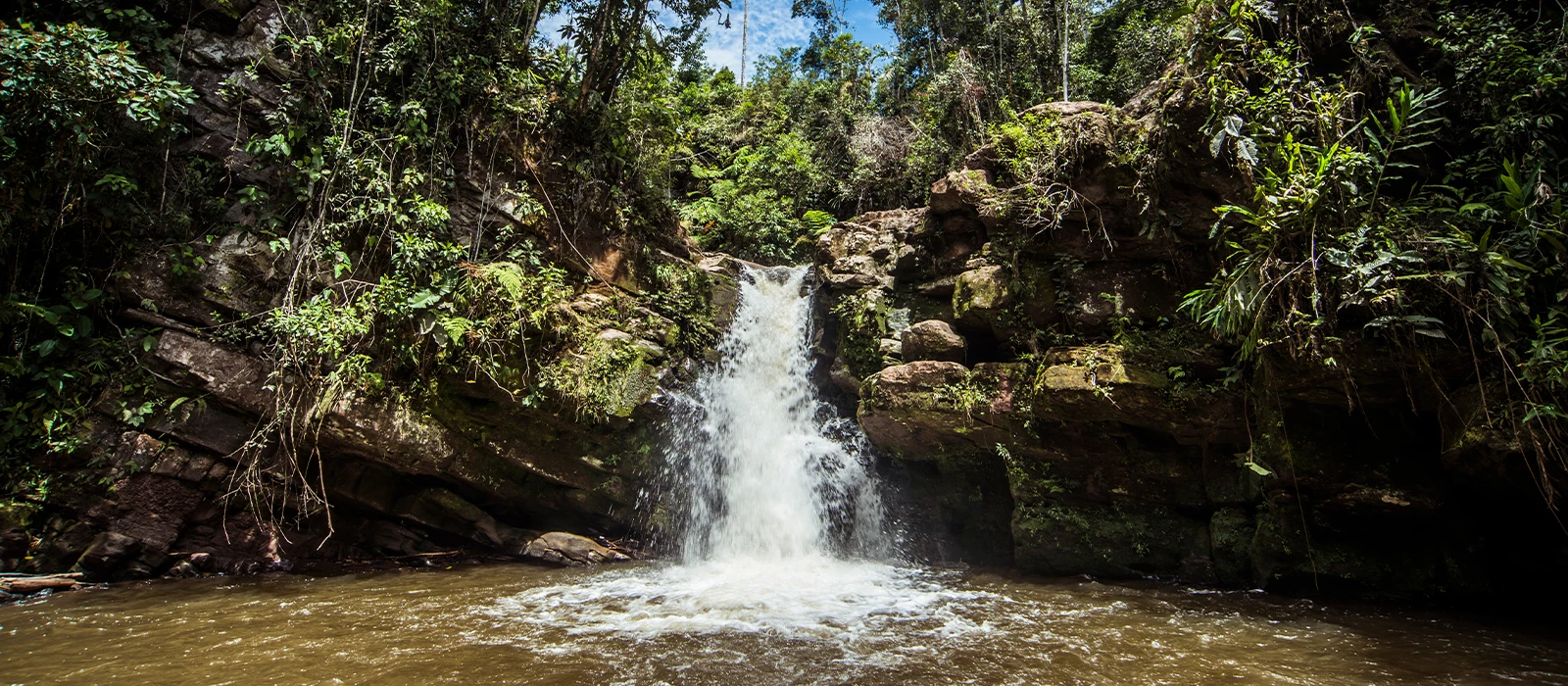 Villa Rica celebra su tesoro aromático: el Festival del Café