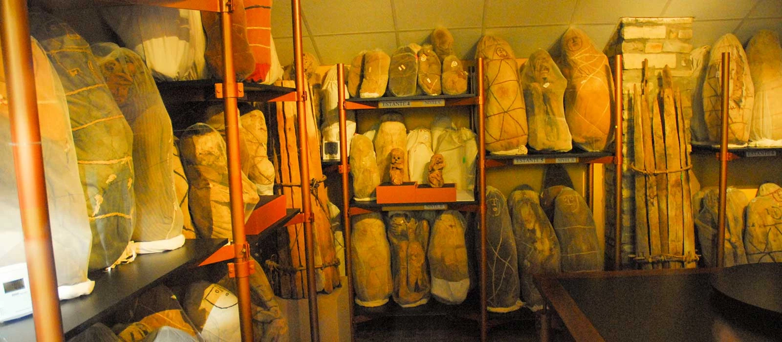 ¡Promociona tu negocio en Y Tú Qué Planes!