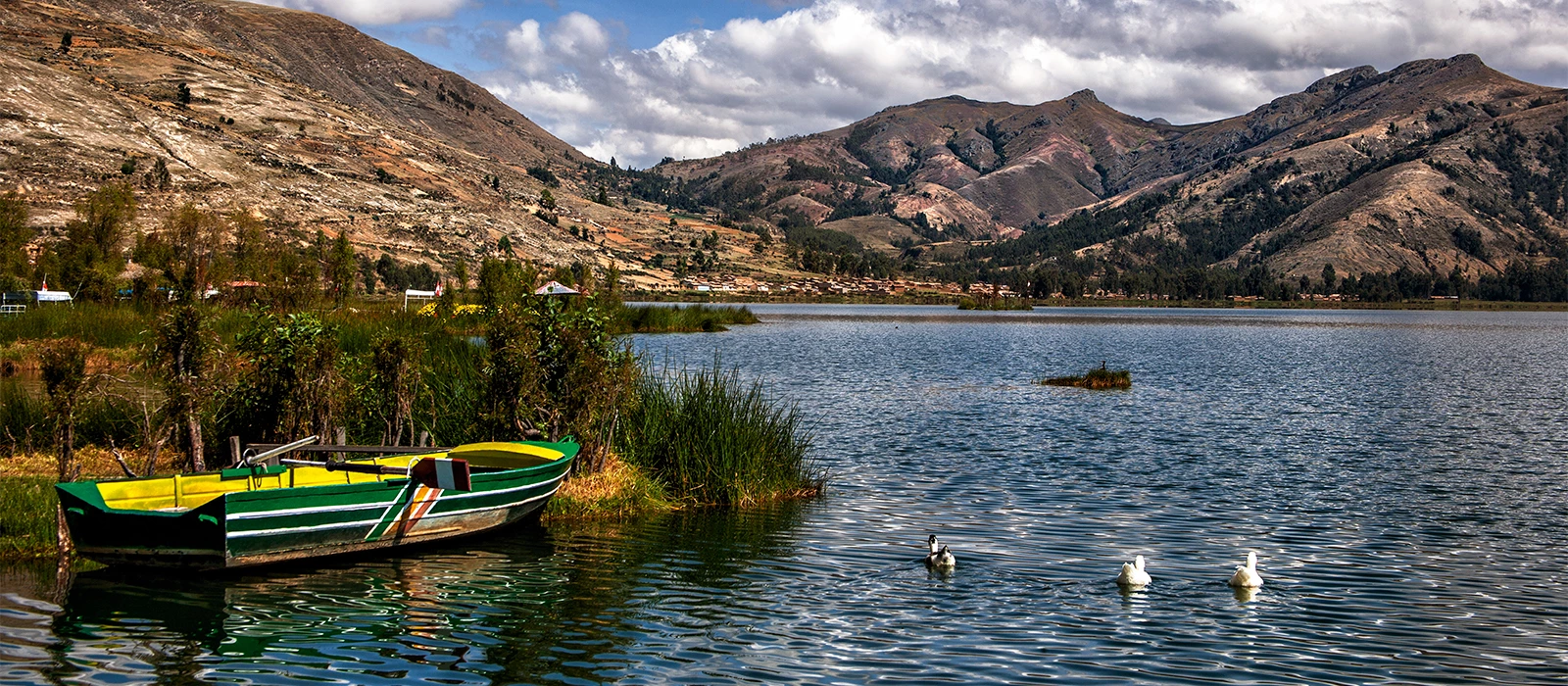 ¡Promociona tu negocio en Y Tú Qué Planes!