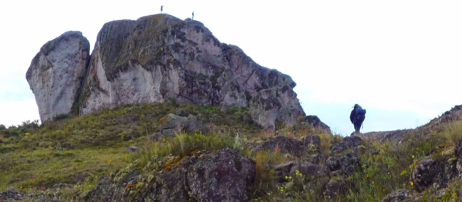 ¡Promociona tu negocio en Y Tú Qué Planes!