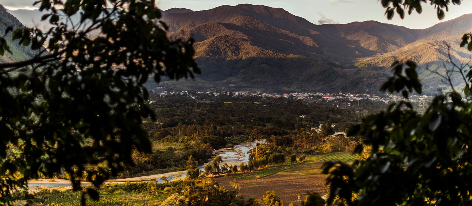 ¡Promociona tu negocio en Y Tú Qué Planes!