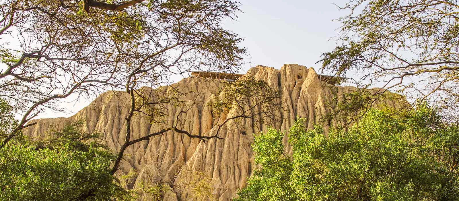 ¡Promociona tu negocio en Y Tú Qué Planes!