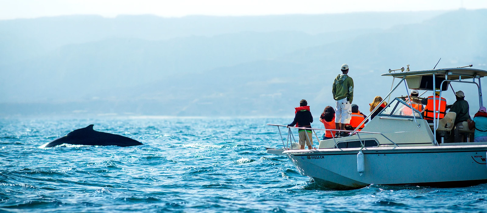 ¡Promociona tu negocio en Y Tú Qué Planes!