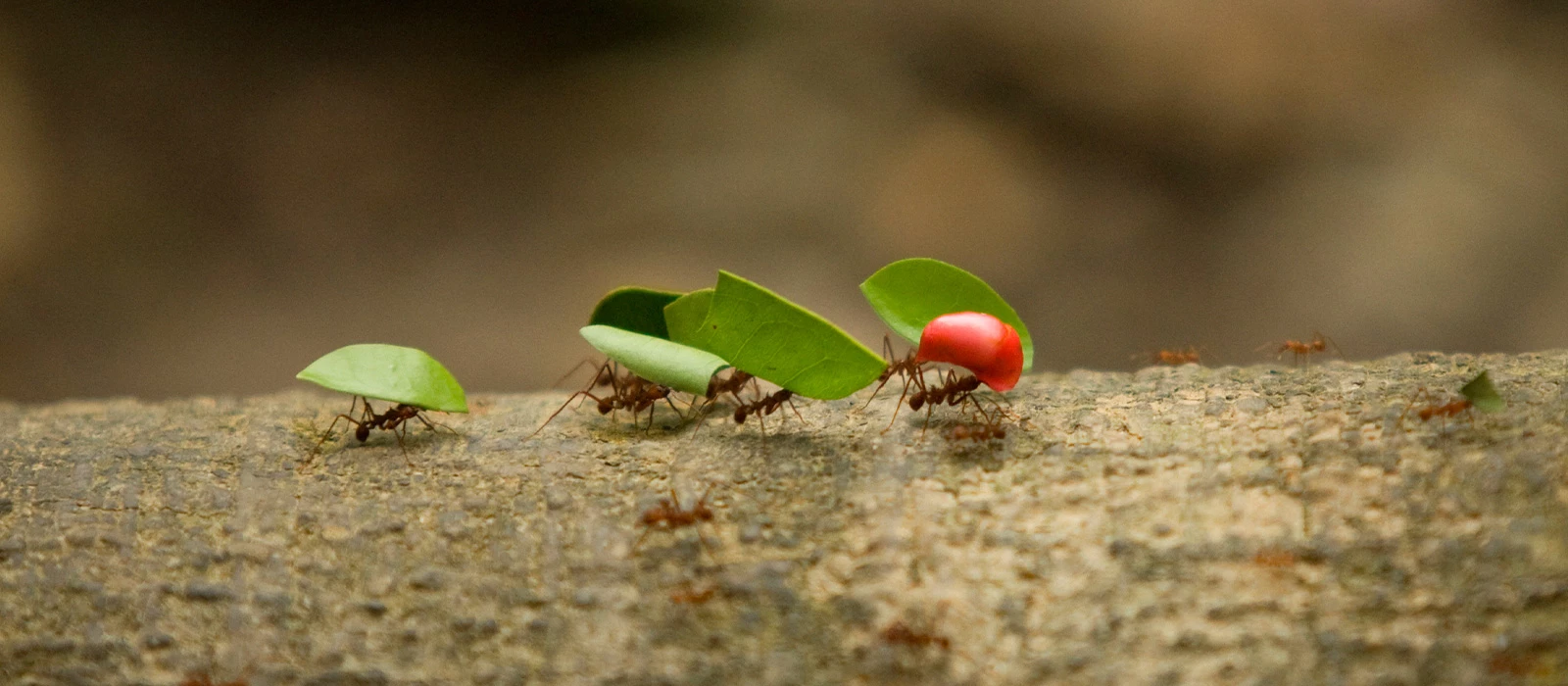 ¡Promociona tu negocio en Y Tú Qué Planes!
