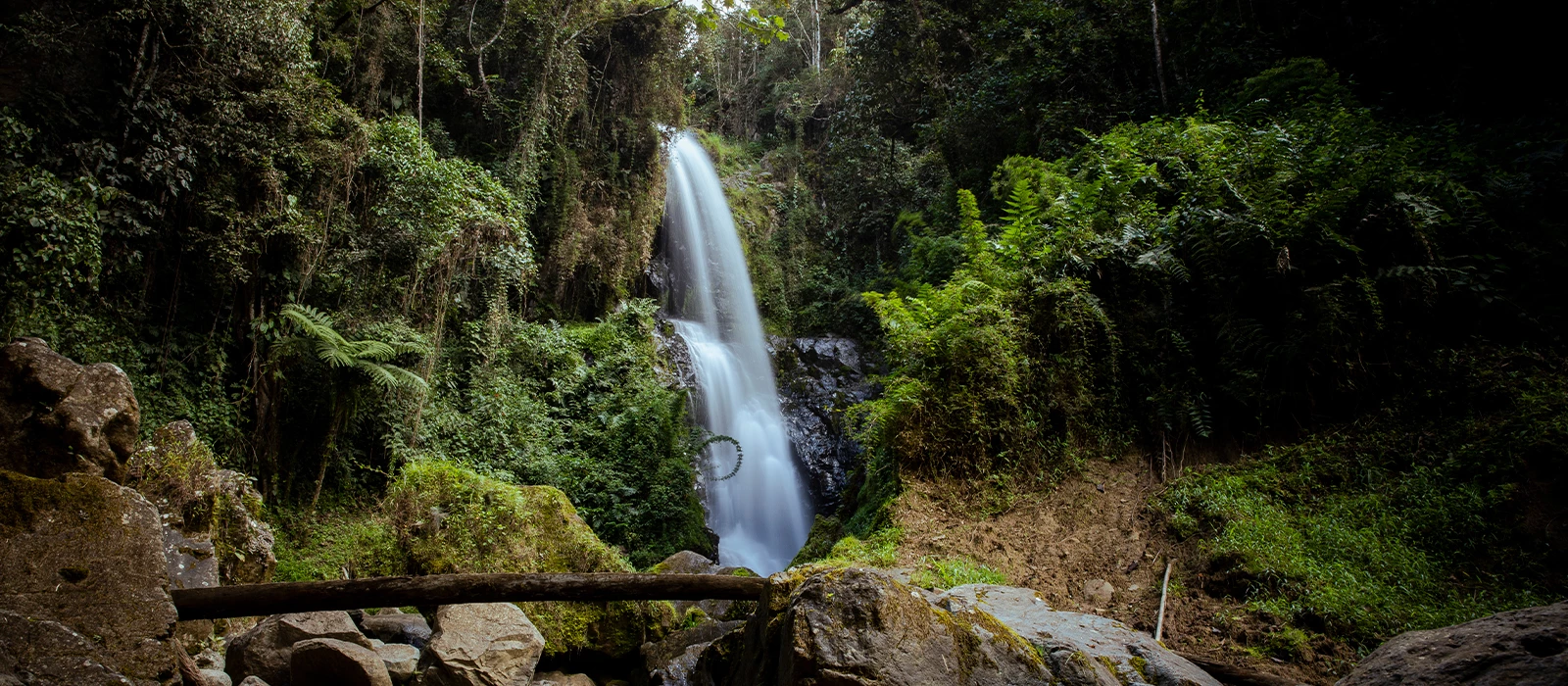 ¡Promociona tu negocio en Y Tú Qué Planes!