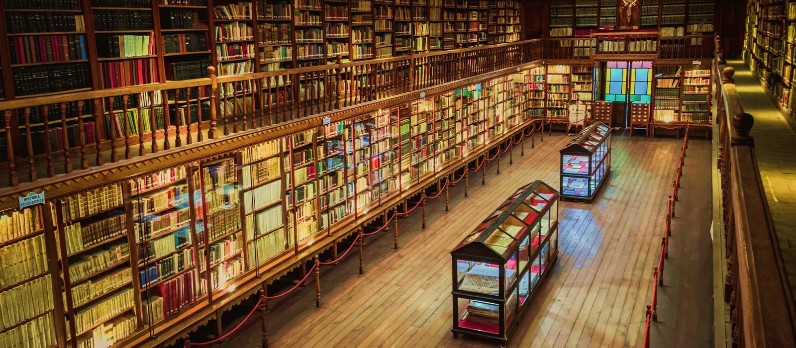 ¡Promociona tu negocio en Y Tú Qué Planes!