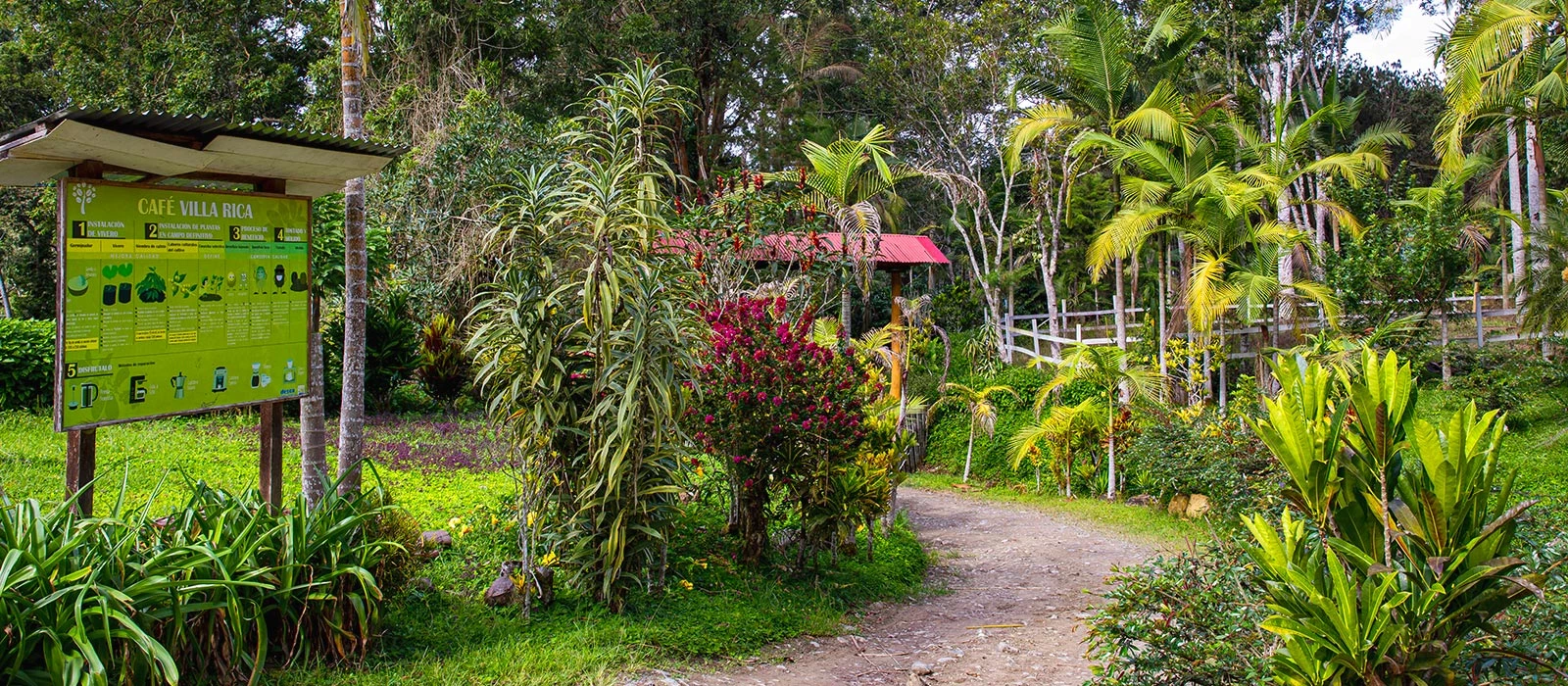 ¡Promociona tu negocio en Y Tú Qué Planes!