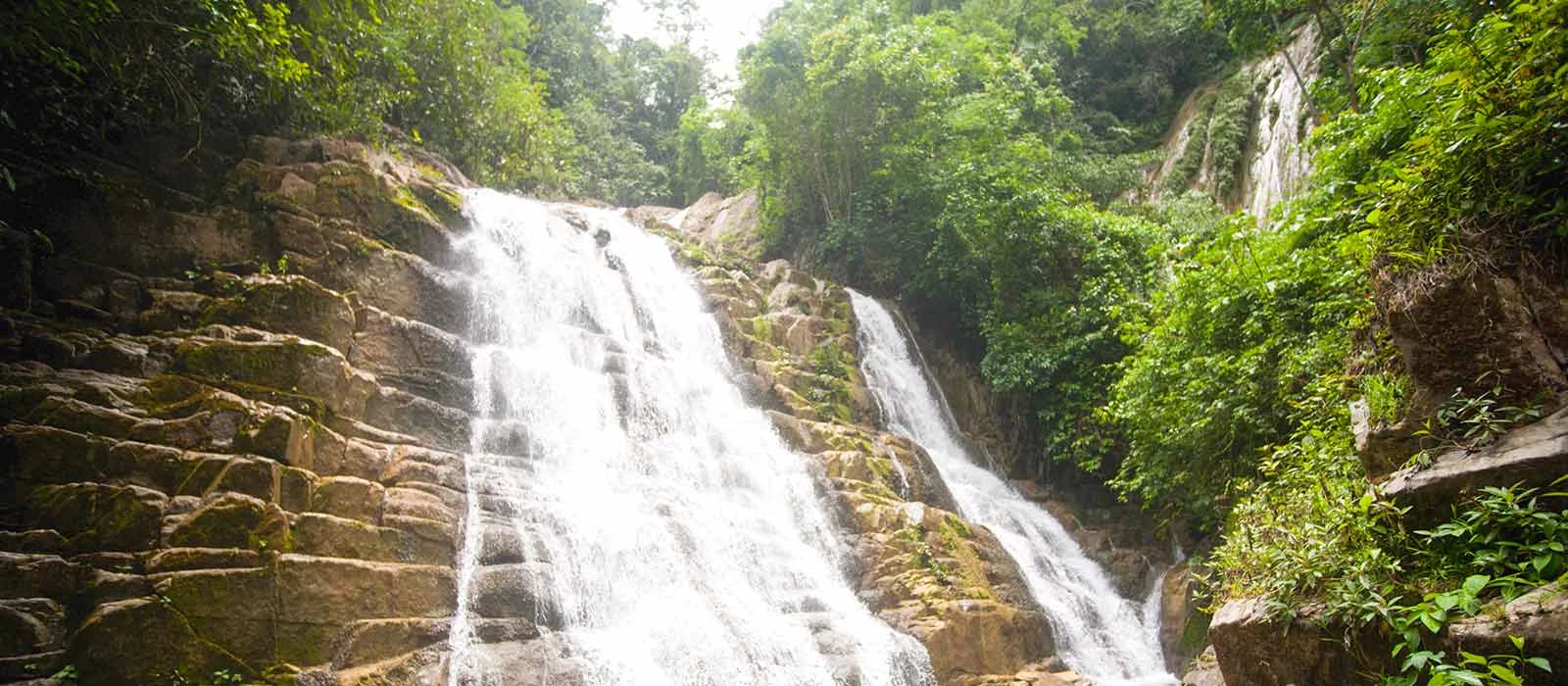 ¡Promociona tu negocio en Y Tú Qué Planes!