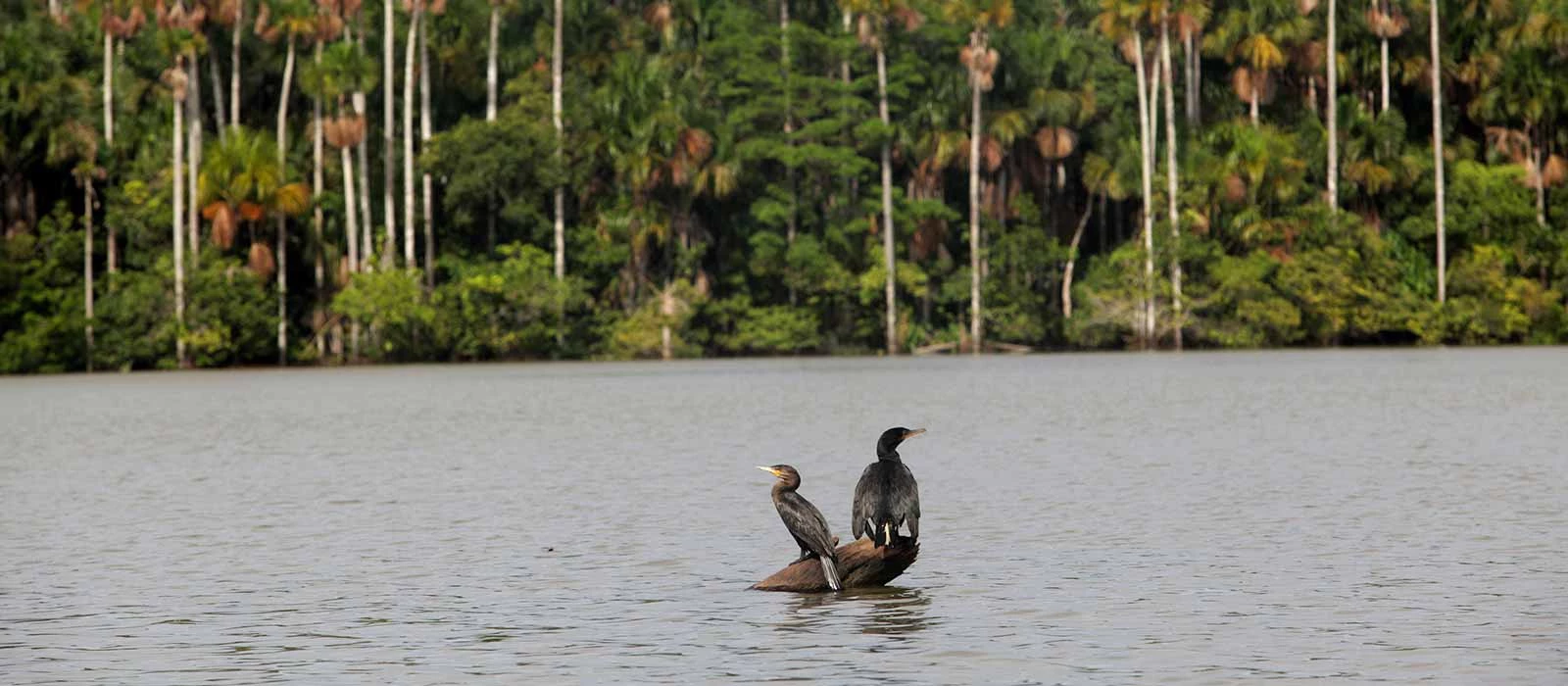 ¡Promociona tu negocio en Y Tú Qué Planes!