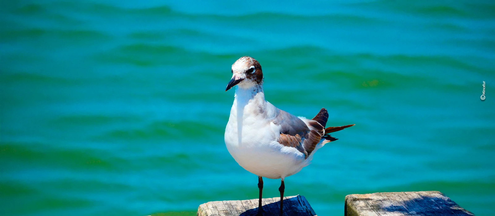 ¡Promociona tu negocio en Y Tú Qué Planes!