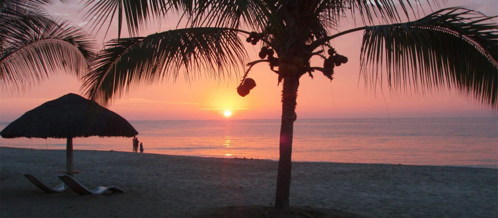 ¡Promociona tu negocio en Y Tú Qué Planes!