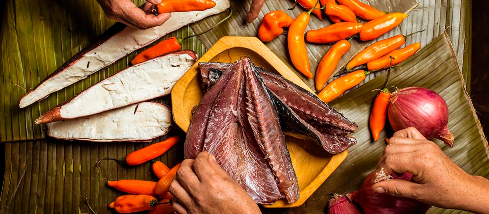 Coishco lanza el Salón de la Causa: el nuevo templo de la gastronomía ancashina