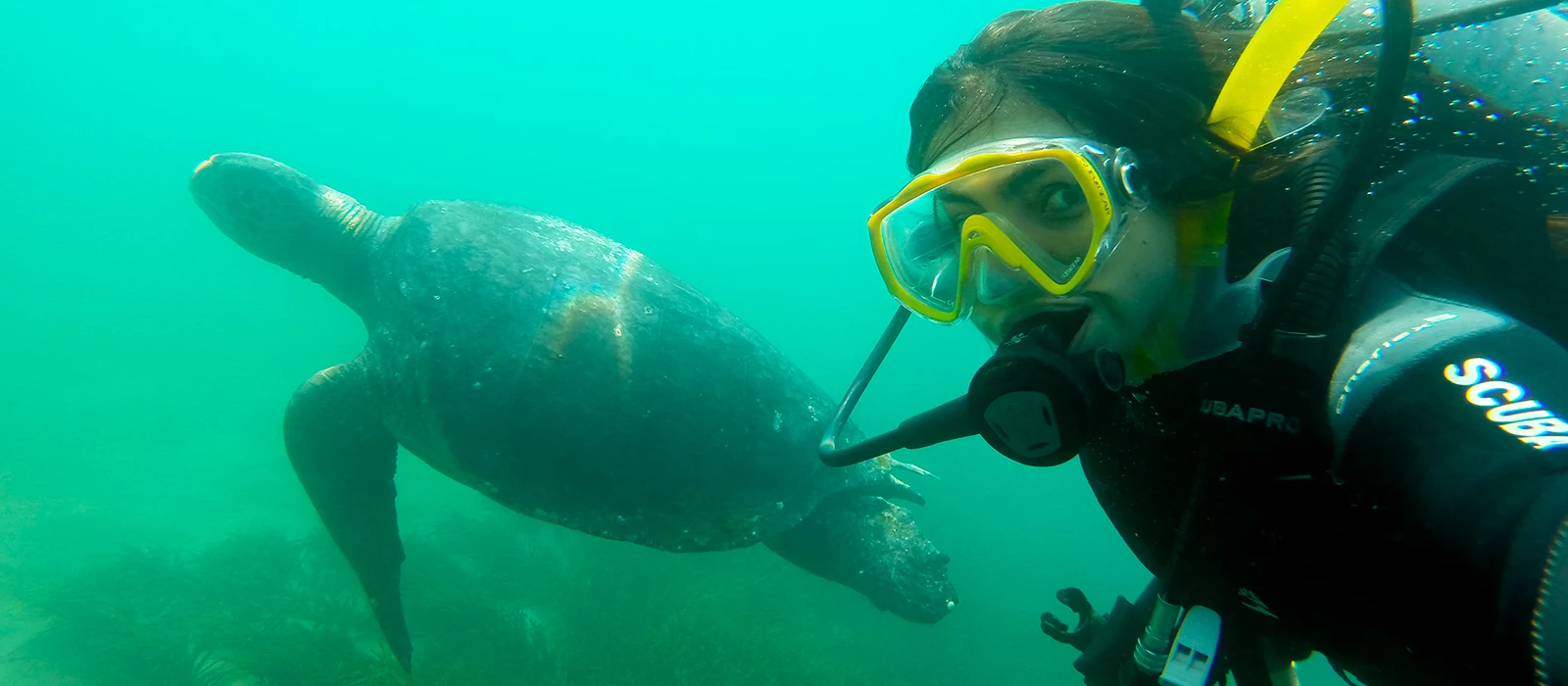 ¡Promociona tu negocio en Y Tú Qué Planes!