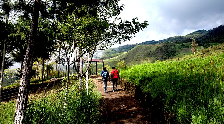 ¡Nuevos vuelos al norte, nuevas aventuras que te esperan!