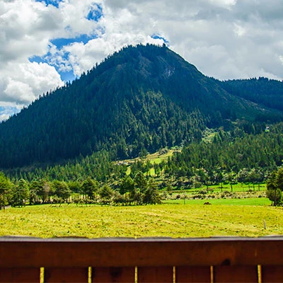 Granja Porcón: encuentra un bosque, un río y un refugio de vida silvestre juntos en un mismo lugar en Cajamarca