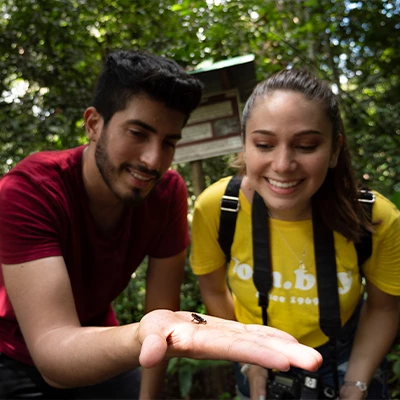 Reserva Nacional Allpahuayo Mishana: vive una aventura amazónica única
