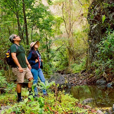 Visita la Reserva de Biosfera del Noroeste Amotapes-Manglares y vive una grandiosa aventura en plena naturaleza