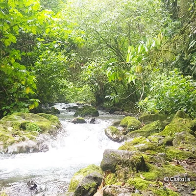 Déjate cautivar por la pureza de la catarata Gloriapata: un paraíso escondido en Huánuco