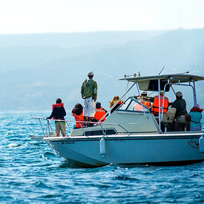 Verano todo el año: descubre playas de ensueño en Piura