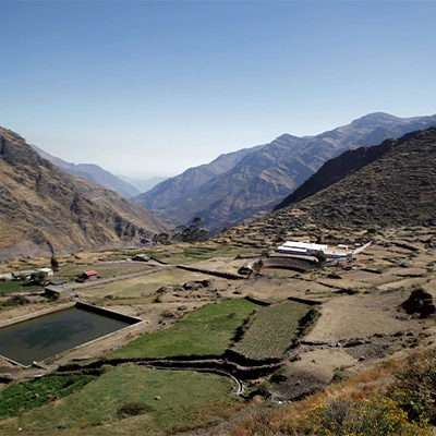 Área de Conservación Regional Bosque de Puya Raimondi – Titankayocc: explora el paraíso escondido entre montañas