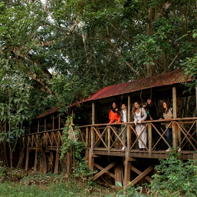 Reserva Ecológica Tingana: la joya natural de Moyobamba que debes conocer