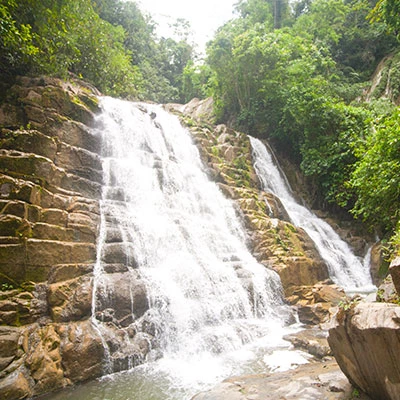La joya tropical de Satipo: Jackfruit, la fruta más grande del mundo