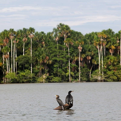 Lago Sandoval: donde el silencio suena a naturaleza en estado puro