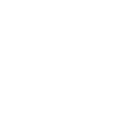 Deportes y bienestar