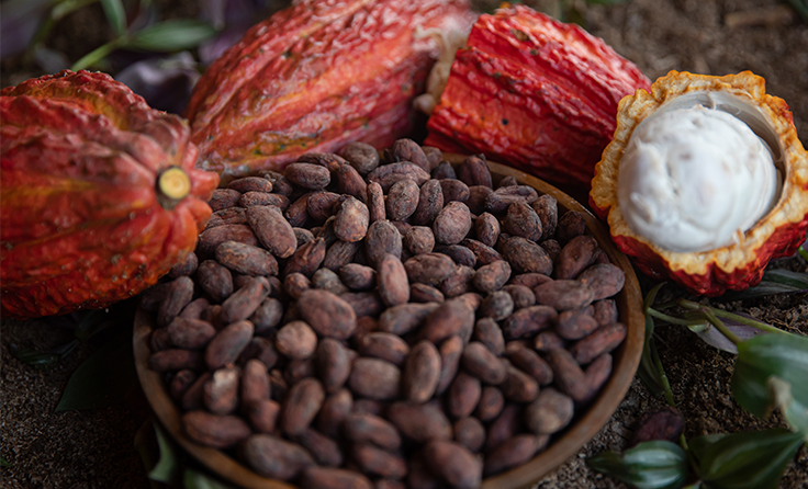 Chocomuseo en Miraflores