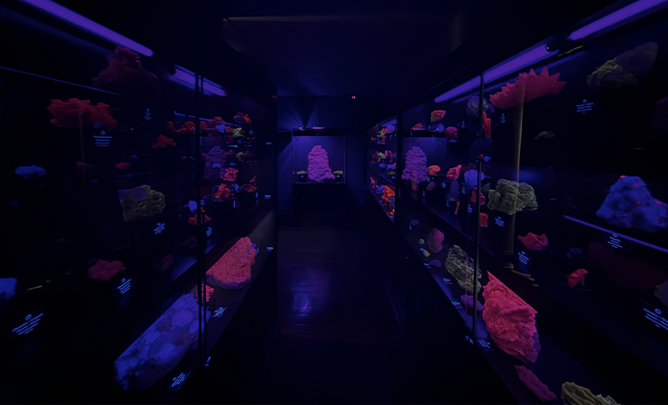 Museo de Minerales Andrés del Castillo