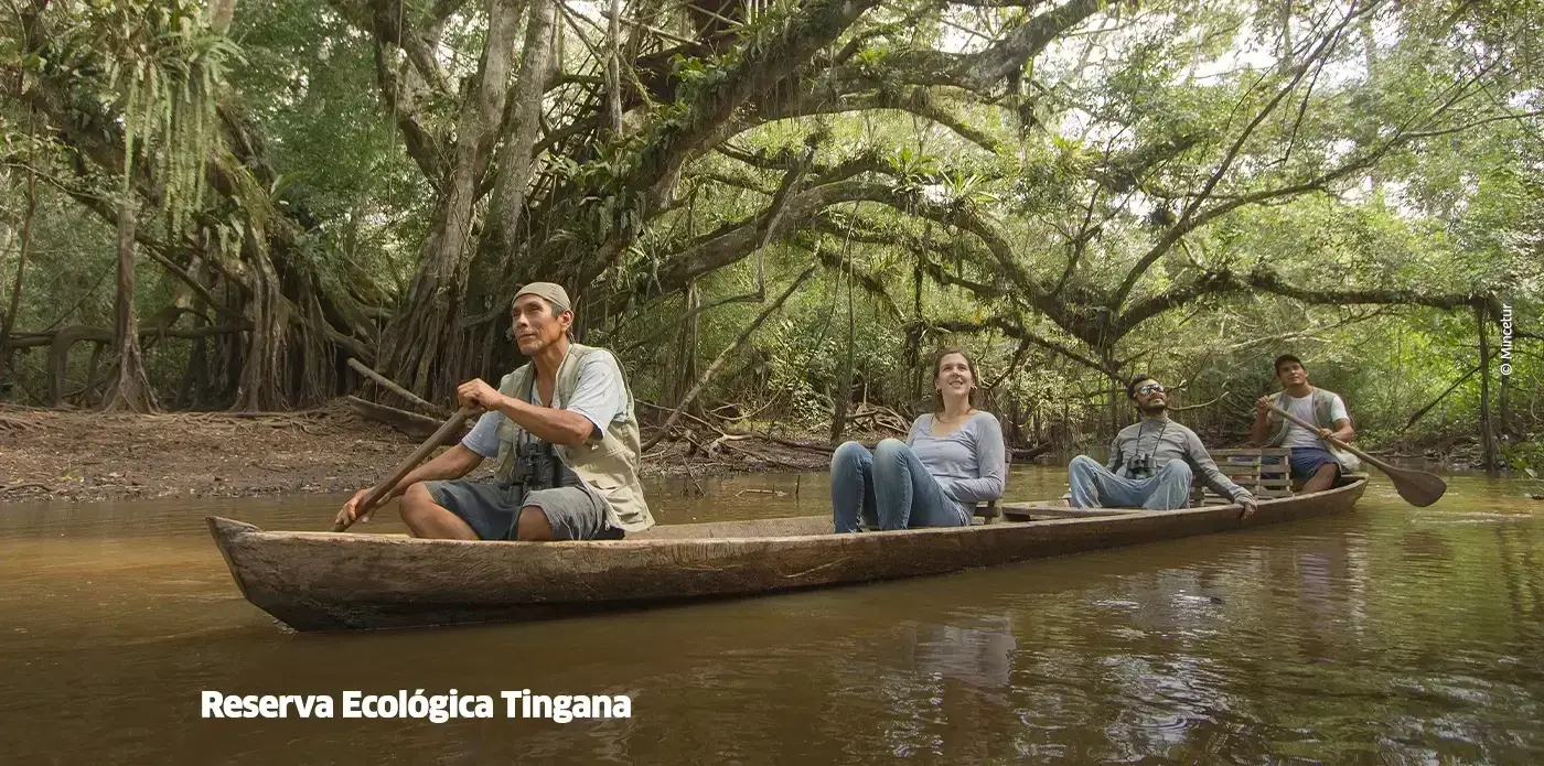 Reserva Ecológica Tingana: viaja al paraíso amazónico más fascinante del Perú