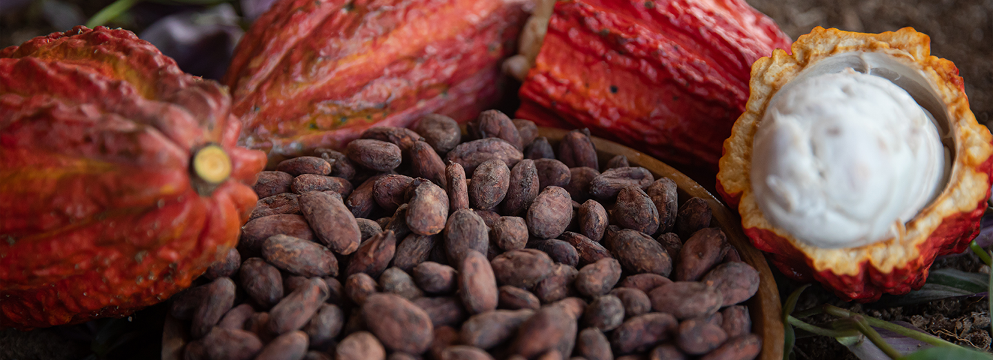 Chocomuseo en Miraflores