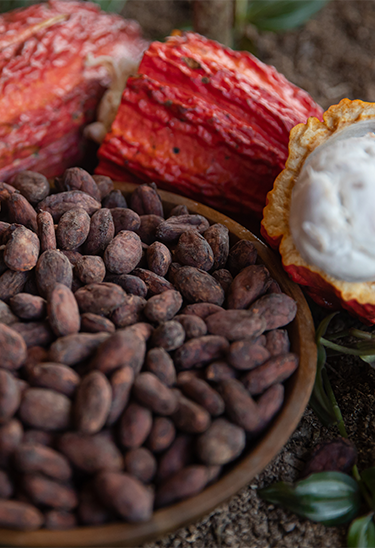 Chocomuseo en Miraflores