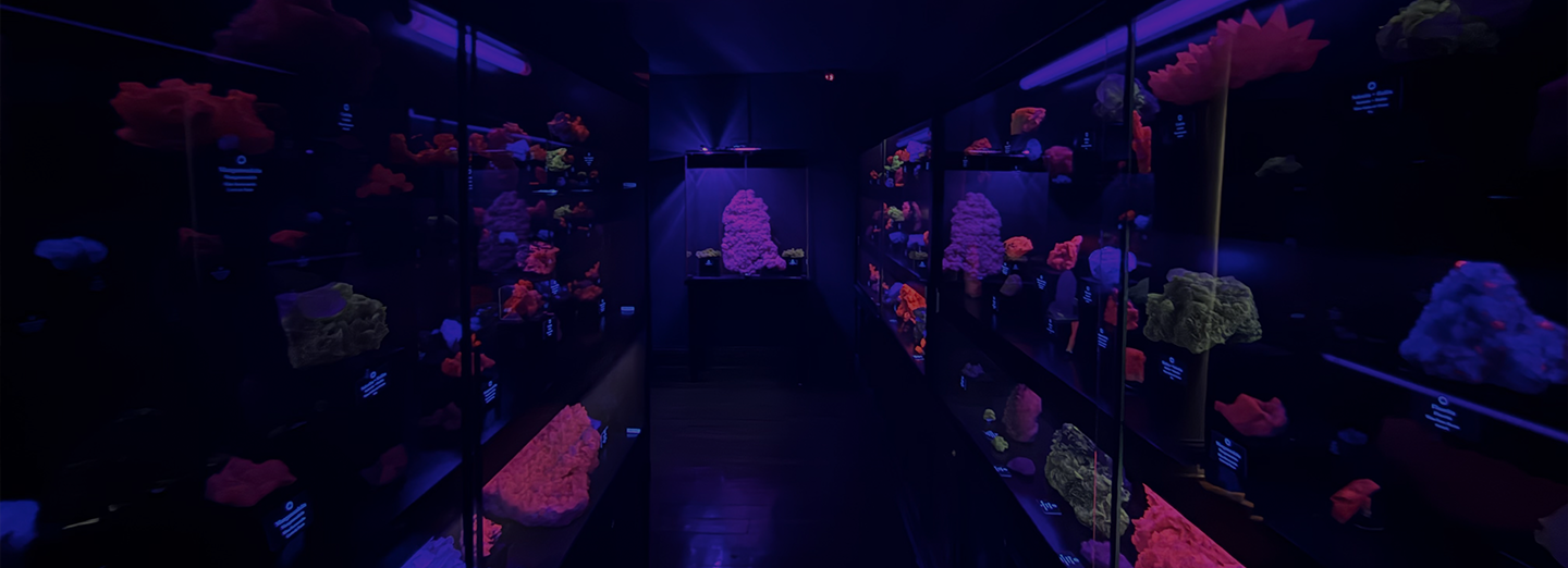 Museo de Minerales Andrés del Castillo