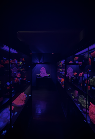 Museo de Minerales Andrés del Castillo