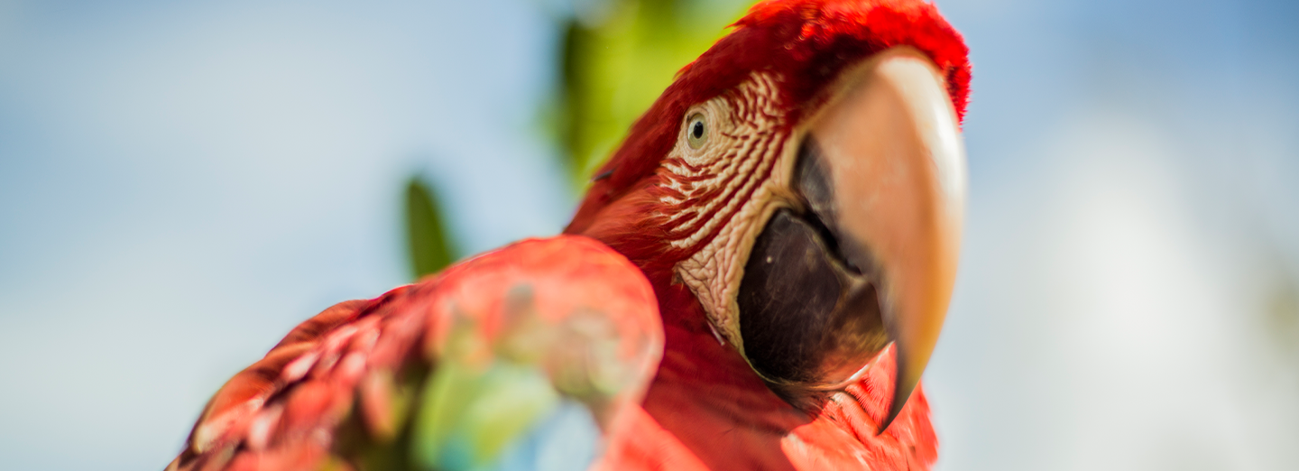 Parque de las Leyendas