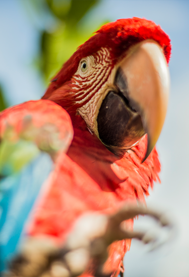 Parque de las Leyendas