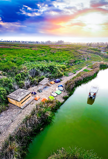Refugio de Vida Silvestre Pantanos de Villa